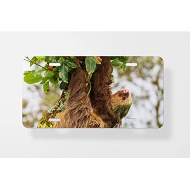 Imagem de Capa para placa de carro bicho-preguiça – Capa para placa de carro – Capa para placa de carro 15 x 30 cm