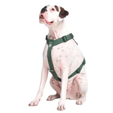 Imagem de Spark Paws Peitoral antipuxão para cães – Projetado para segurança e controle, ideal para raças grandes e fortes – Pitbulls, Boxers – Verde sólido – P