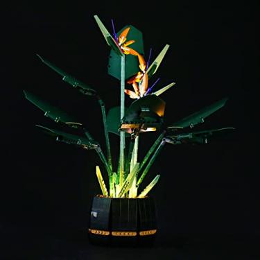 Imagem de GEAMENT LED Light Kit Compatible with Lego Bird of Paradise - Lighting Set for Creator 10289 Building Model (Lego Set Not Included)