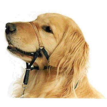 Imagem de Head Halter Comfort Trainer para cães, vermelho, tamanho 4