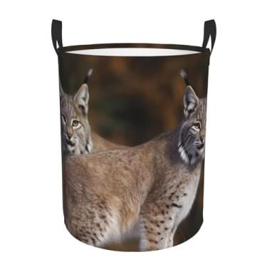 Imagem de Cesto de lavanderia Canada Lynx, dobrável, impermeável, cesto de armazenamento de roupas com alças, pano Oxford, organizador de brinquedos, cesta para banheiro, lavanderia, quarto, pequeno