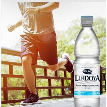 Imagem de AGUA MINERAL NATURAL LINDOYA VERAO 500 ML (12 Unidades)