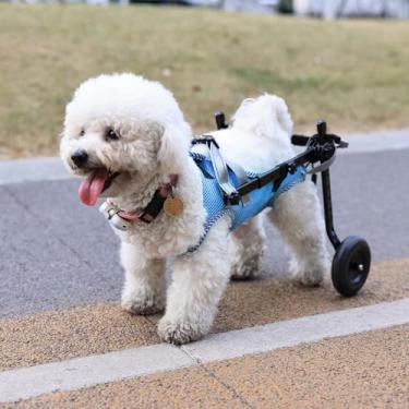 Imagem de Cadeira de rodas para cães atualizada para pernas traseiras, cadeira de rodas para cães pequenos com rodas, cadeira de rodas leve para suporte de perna ajuda idosos, feridos, paralisados, M e azul