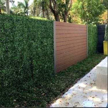 Imagem de Placas Grama Bucho Verde Muro Inglês 40 x 60 Decoração - Léo Flores