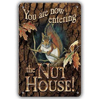Imagem de You are Now Entering The Nut House Placa de metal vintage retrô animal esquilo placa de parede para bar garagem clube homem caverna café pub decoração de casa 30 x 20 cm
