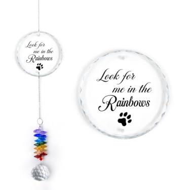 Imagem de GIFTELIX Pet Memorial Suncatcher - Presente de simpatia por perda de cães e gatos - Prisma de cristal arco-íris - Lembrança de luto - Presente para amantes de animais de estimação - Lembrança diária