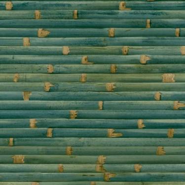 Imagem de Papel De Parede Wanderlust Folhagem Verde - Wl1101