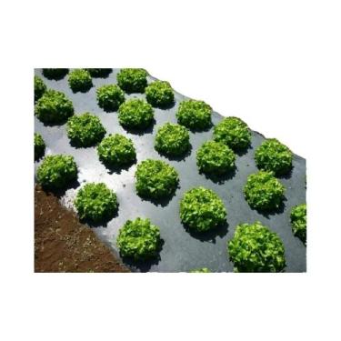 Imagem de Filme Plástico Preto Para Cobertura De Solo Em Hortas E Estufas, Prote