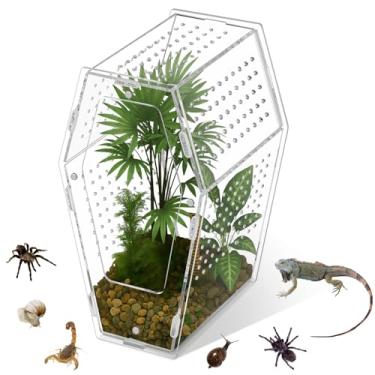 Imagem de Yalikop Habitat de aranha saltadora de acrílico versátil para répteis, habitat de terrário de insetos transparente para aranhas, tarântula, lagartixa, camaleão, besouro, louva-a-deus e caranguejo