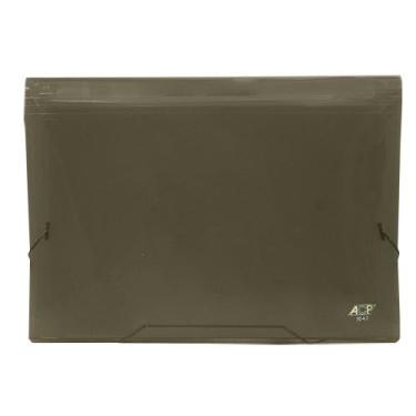 Imagem de Pasta Sanfonada Ofício com 12 Divisórias Organizadora Acp, Fumê