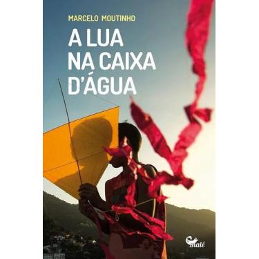 Imagem de Livro - A lua na caixa d'água