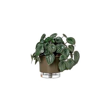 Imagem de Vaso Autoirrigável Médio N03 16cm x 14cm - Terrazzo Basalto