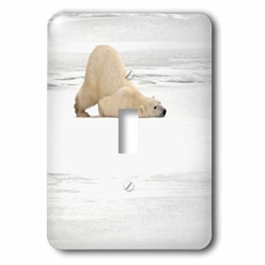 Imagem de 3D Rose lsp_208141_1 Canada, Manitoba, Churchill. Urso polar arranhando sozinho. Interruptor simples