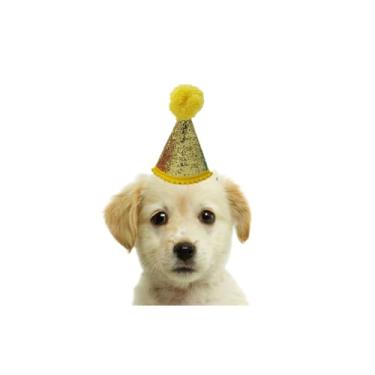 Imagem de Chapéu de Aniversário para Cachorro com Brilho e Pompom – Acessório Festivo Reutilizável(AMARELO)