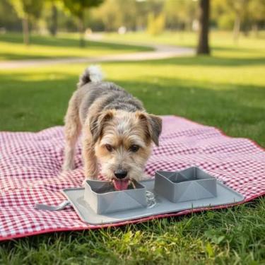 Imagem de Comedouro Cachorro Duplo Para Viagem Compacto Fácil Limpeza Bebedouro 