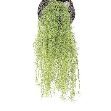 Imagem de QENWKXZ 2 peças de videiras artificiais de samambaia de boston, plantas de plástico de vime persa, plantas de plástico, hera para parede, interior, exterior, cestos pendurados, casa, escritório,