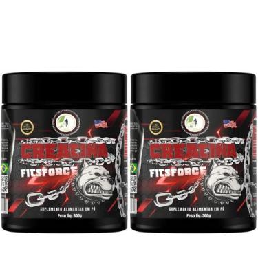 Imagem de KIT C/2 Creatina Monohidratada Pura FitsForce 300g Fits Life - Fits Li
