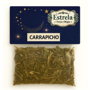 Imagem de Erva Carrapicho na Umbanda e Candomblé  Proteção  Descarrego  Força Es