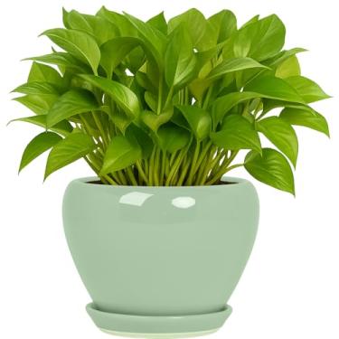 Imagem de Deep Dream Vasos de plantas de 15 cm - Vaso de cerâmica com orifício de drenagem e pires, vaso de flores redondo para suculentas internas e externas, plantas de cobra e cacto, verde menta