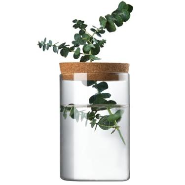 Imagem de SCWBOEII Estação de propagação de plantas de mesa, vaso de vidro transparente com tampa de madeira e suporte de bambu para decoração de mesa doméstica de plantas hidropônicas, 6 x 12 cm