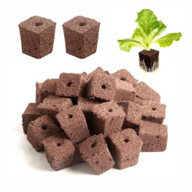 Imagem de Hapxalie Bloco médio de crescimento de mudas de 75 peças para bandeja inicial de sementes de 72 células, substrato de propagação de plantas
