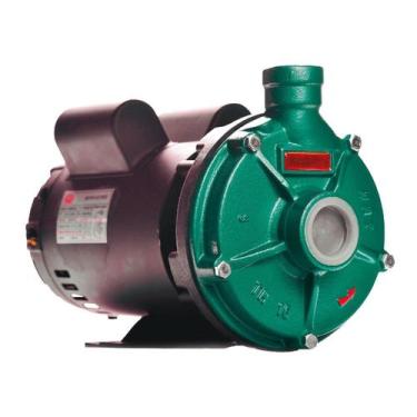 Imagem de Bomba Th-16 3,0 Cv Rotor 159mm Monofásico Motor Thebe Ip23 127/220-254