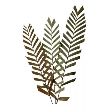 Imagem de 5 Folha De Areca Seca Desidratada Decoração Arranjo Buque - FLORA FULL