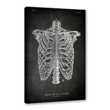 Imagem de Arte vintage de anatomia humana – Pintura em tela de educação médica, esqueleto humano, gaiola, cérebro, coração, anatomia, pôster para decoração de casa de clínica hospitalar (SKU2,8 x 30,5 cm = (20