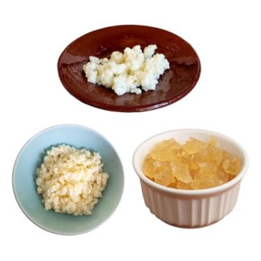 Imagem de Kefir de Água, Leite e Côco Com Manual Completo 100% Natural Puro Kefir