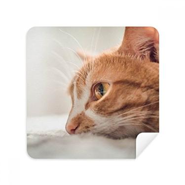 Imagem de Animal Puro Gato Fotografia Óculos Pano Limpador de Tela Tecido Camurça Pacote com 2