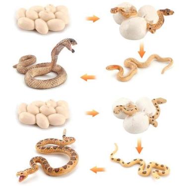 Imagem de Conjunto de bonecos Snake Life Cycle, 12 peças de brinquedos infantis 
