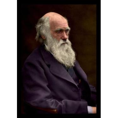Imagem de Quadro Decorativo Charles Darwin Artístico 42x29cm - Fanarte