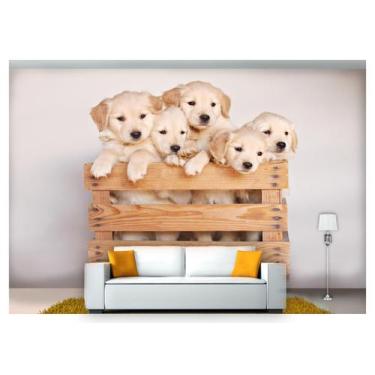 Imagem de Papel De Parede Animais Filhotes De Golden 3D 6M² Anm258 - Você Decora