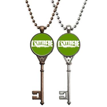 Imagem de OFFbb-USA Colar com pingente de chave de centipéia de animal com medo de insetos, joia para decoração de casais