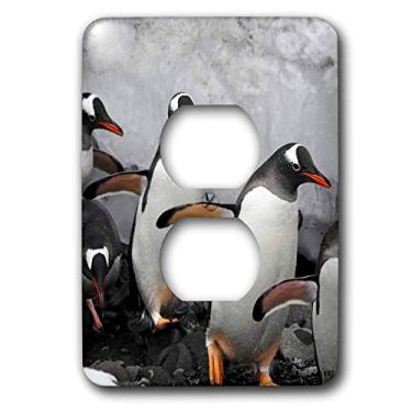 Imagem de 3dRose LLC lsp_10505_6 Gentoo Penguin Step Out of the Freezing Waters 2 Tampa de tomada