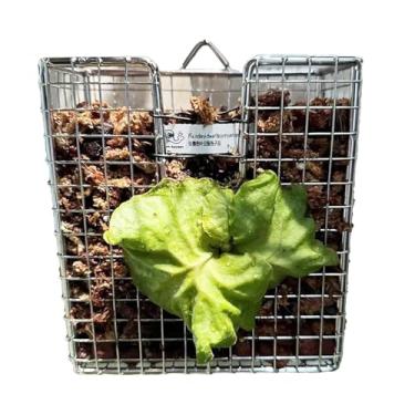 Imagem de Rrlihjgu Placa Para Chifre-de-Veado - Cesta Vertical Pendurável Antiferrugem - Cesto De Aço Inoxidável 304 Para Orquídeas Interior Exterior Sala Quarto Varanda Jardim Casa