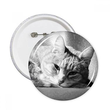 Imagem de Animal Puro Cinza Imagem Fotografia Gato Puro Puro Pinos Crachá Decoração Roupas Decoração 5 peças Presente