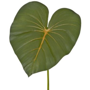 Imagem de Haste Folha Gigante Antúrio em PVC Verde