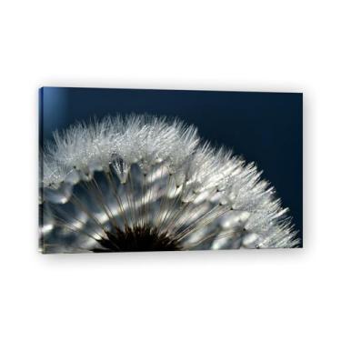 Imagem de Pintura em tela de arte de parede, um olhar atento às sementes de dente-de-leão, impressão de pôster para sala de estar, quarto, cozinha, escritório, 50 x 30 cm