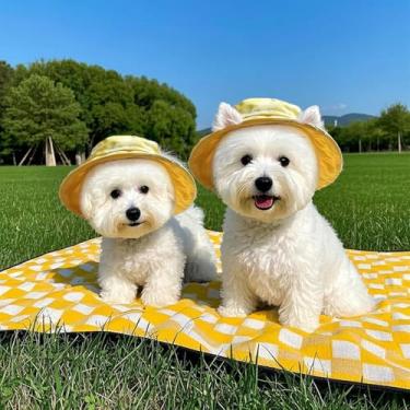 Imagem de Chapéu de sol para gatos, chapéu balde de cachorro, boné esportivo para animais de estimação com 2 orifícios de orelha - indispensável para celebrações do Dia Nacional do Cachorro, presentes fofos