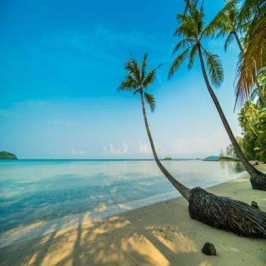 Imagem de Corrente Comando Kit 3Pcs Ww3 Cg 150 2004 A 2015 - Nxr Bros 150 2006 A 2015 - Cg 125 2009 A 2018 - Nxr Bros 125 2012 A 2015 (Kit C/ 3Pçs Corrente Ww3 + Tensor & Guia Gp7)