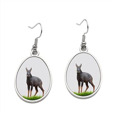 Imagem de Brinco isolado Serow com grama verde – Brincos pendentes para meninas – Presente de festa de aniversário dos namorados