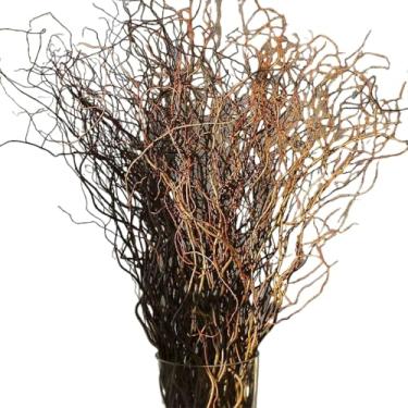 Imagem de Flores Secas,Galhos Secos Para Montagem De áRvores, Decoração De Flores Artificial, Cerejeira, Desidratado(4)