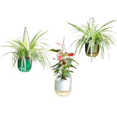 Imagem de Meicynhoger Pacote com 2 plantadores vintage auto-irrigáveis – Vaso de flores/plantas transparente de 16,5 cm com ganchos para ambientes internos e externos, mesa, varanda, parede, deck e jardim (3