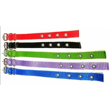 Imagem de Coleira simples - Simples 