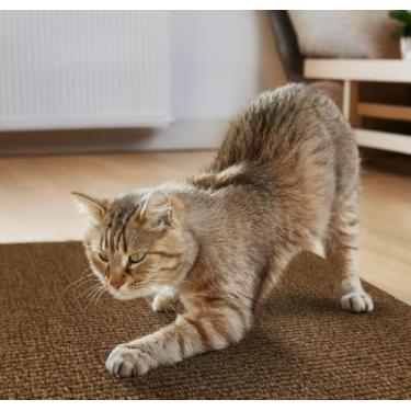 Imagem de Arranhador Adesivo Premium: Sofá, Cama e Móveis Para Gato - Protetor Pet (CARAMELO,200X50cm)