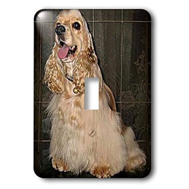 Imagem de 3dRose Cocker Spaniel – Interruptor único (lsp_714_1), varia