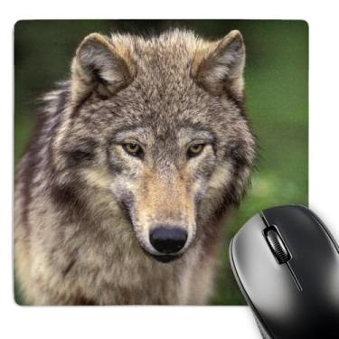 Imagem de 3dRose Mouse pad LLC 20 x 20 x 0,63 cm, Wolf Wildlife, Tom Vezo (mp_92147_1)