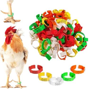 Imagem de Faixas de perna de frango ajustáveis 100 peças - Faixas de perna numeradas de identificação colorida para galinhas, patos, perus, suprimentos duráveis para aves e acessórios de galinheiro (pintinhos