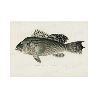 Imagem de Arte Em Tela De Peixes De Água Doce, Pôster Vintage, Impressão De Pint